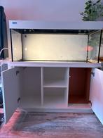 Aquarium 120x60x55, Ophalen, Gebruikt, Leeg aquarium