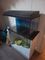 Aquarium met alles om te starten, Dieren en Toebehoren, Vissen | Aquaria en Toebehoren, Ophalen, Zo goed als nieuw, Leeg aquarium