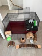 Ruime hamsterkooi of knaagdierkooi, Kooi, Gebruikt, Hamster, 75 tot 110 cm