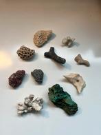 Verschillende varianten van koraal / mineralen, Ophalen of Verzenden, Zo goed als nieuw
