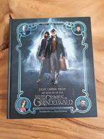 Fantastic Beasts the crimes of Grindelwald boek, Ophalen of Verzenden, Zo goed als nieuw, Boek of Poster