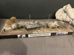 Diorama 1/35, Ophalen, Zo goed als nieuw, 1:35 tot 1:50
