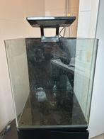 BlueMarine 60 aquarium met upgrades + meubel, Dieren en Toebehoren, Ophalen, Gebruikt, Leeg aquarium