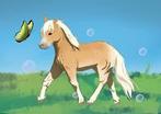 GEZOCHT: Bomproof pony met gouden karakter!, Dieren en Toebehoren, Pony's, Ruin, Recreatiepony
