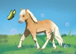 GEZOCHT: Haflinger of tinker met gouden karakter!, Dieren en Toebehoren, Pony's, Ruin, Recreatiepony
