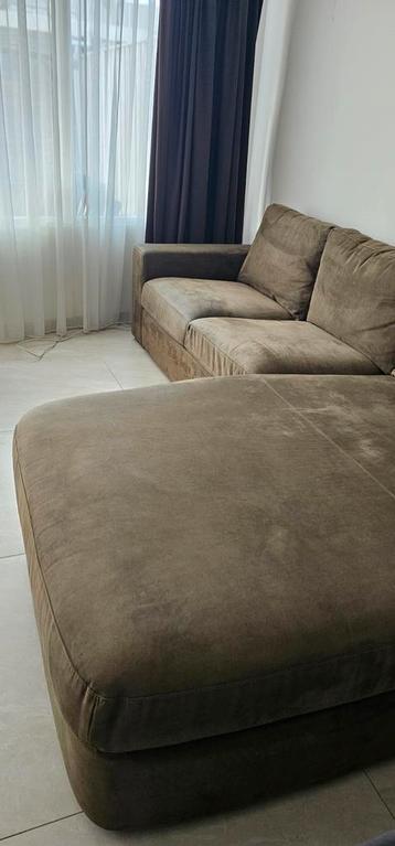 Chaise lounge turtle green beschikbaar voor biedingen