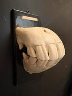 Vintage authentiek paardengebit met scharnier, Ophalen of Verzenden