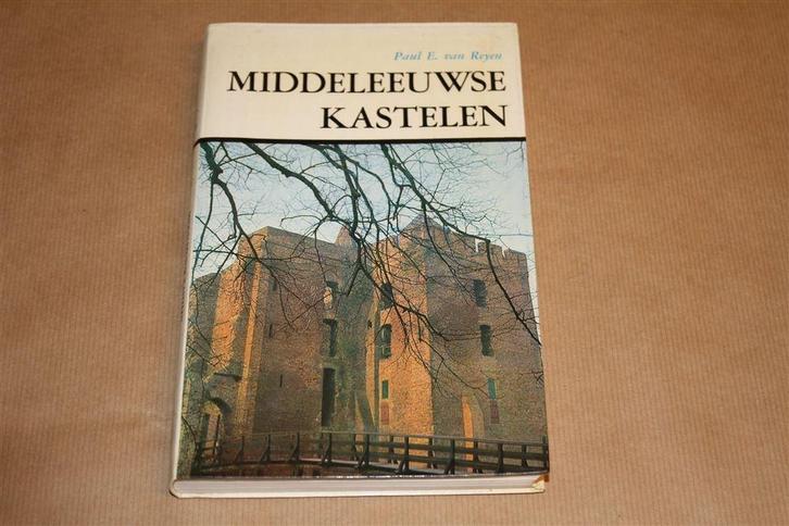 Middeleeuwse kastelen in Nederland., Boeken, Geschiedenis | Vaderland, Gelezen, Ophalen of Verzenden