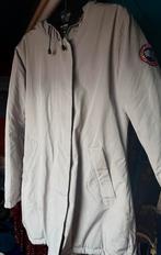 Canada goose jas, Maat 38/40 (M), Canada goose, Ophalen of Verzenden, Zo goed als nieuw