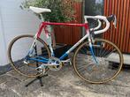 Gazelle Champion Mondial Campagnolo AB frame gerestaureerd, Jaren '60 of nieuwer, Raleigh, 59 cm of meer, Ophalen