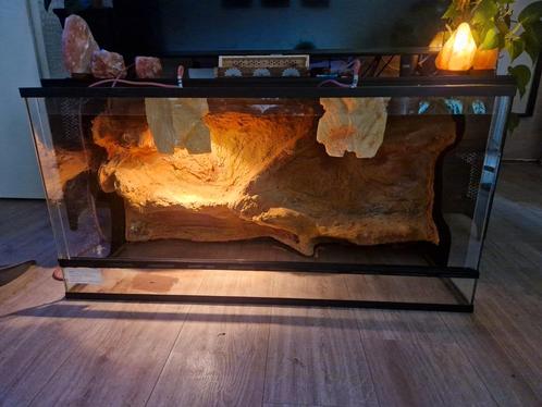 Terrarium Blue Lagoon 'Rock Navajo' (incl. Achterwand), Dieren en Toebehoren, Reptielen en Amfibieën | Toebehoren, Gebruikt, Terrarium of Paludarium