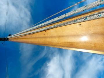 10 meter houten mast met toebehoren, beschikbaar voor biedingen