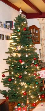 Kerstboom met standaard in doos +/- 2,30 hoog 🌲 🎄, Diversen, Kerst, Ophalen, Gebruikt