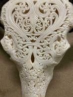 Buffel schedels echte Buffelschedels gegraveerd, Ophalen of Verzenden, -, -, -