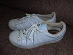 lichtblauwe herenschoenen van ADIDAS, maat 42.5 ., Blauw, Ophalen of Verzenden, Sneakers of Gympen, Gedragen