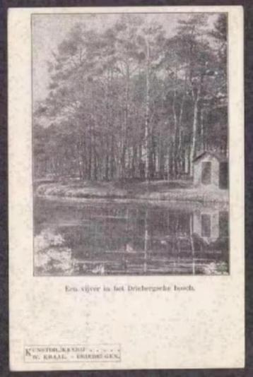 Driebergen Vijver in het Driebergsche Bosch. beschikbaar voor biedingen