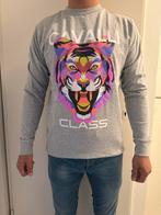 Grijze Cavalli sweater nieuw maat M, Maat 48/50 (M), Cavalli, Nieuw, Ophalen of Verzenden