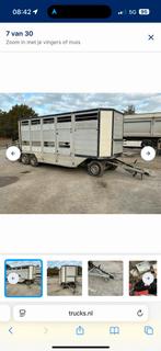 Gezocht, eigenaar Veetrailer Veldhuizen G50-2, Dieren en Toebehoren, Schapen, Geiten en Varkens, Mannelijk, Geit