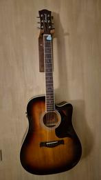 Richwood artist series, Ophalen of Verzenden, Zo goed als nieuw, Western- of Steelstringgitaar