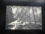 BERGEN N.H.  >  HOFVIJVER   1930, Verzamelen, Ansichtkaarten | Nederland, Verzenden, 1920 tot 1940, Gelopen, Noord-Holland