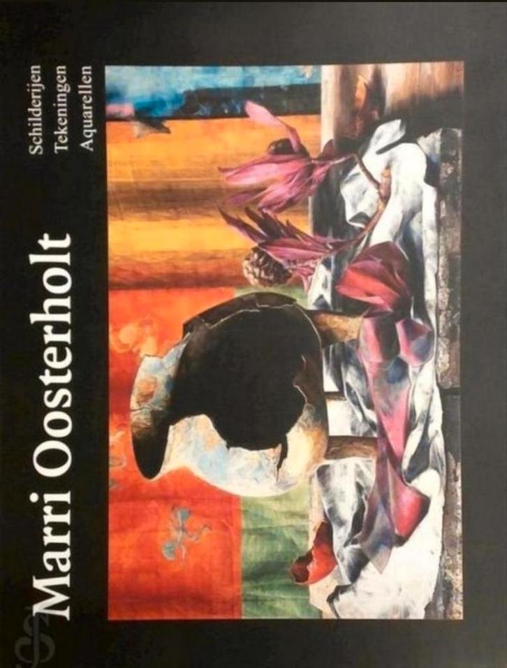 MARRI OOSTERHOLT Schilderijen Tekeningen Aquarellen, Boeken, Kunst en Cultuur | Beeldend, Zo goed als nieuw, Ophalen of Verzenden