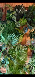 Kunsthaag op betonnet - 1,44 m2, Ophalen of Verzenden, Nieuw, Binnen