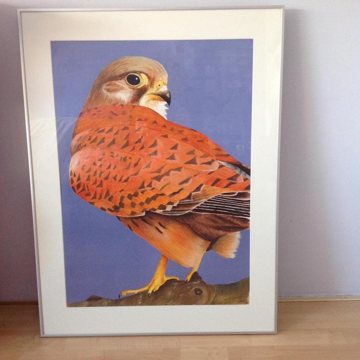 Torenvalk - groot schilderij, acrylverf op papier, Antiek en Kunst, Kunst | Schilderijen | Modern, Ophalen