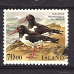 vogel Scholekster IJsland 1987 gebruikt stempel, Verzenden, Gestempeld, Dier of Natuur