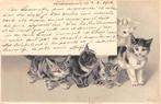 Reliëfkaart van 5 poesjes Litho kittens 1902, Ophalen of Verzenden, Voor 1920, Gelopen, Hond of Kat
