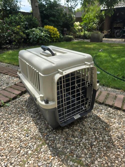 Vliegkennel voor hond of kat maat S, Dieren en Toebehoren, Transportboxen, Ophalen