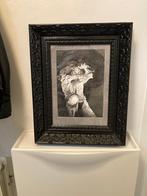 Jethro tull : Orgineel handgemaakte pentekening, Cd's en Dvd's, Ophalen of Verzenden, Gebruikt, Overige formaten, Progressive