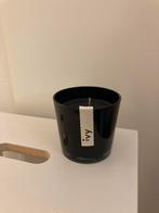 Ivy Geurkaars Zwart - Nieuw!, Overige materialen, Zwart, Nieuw, Ophalen of Verzenden