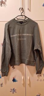 Trui maat l, Kleding | Dames, Amisu, Ophalen of Verzenden, Gedragen, Maat 42/44 (L)