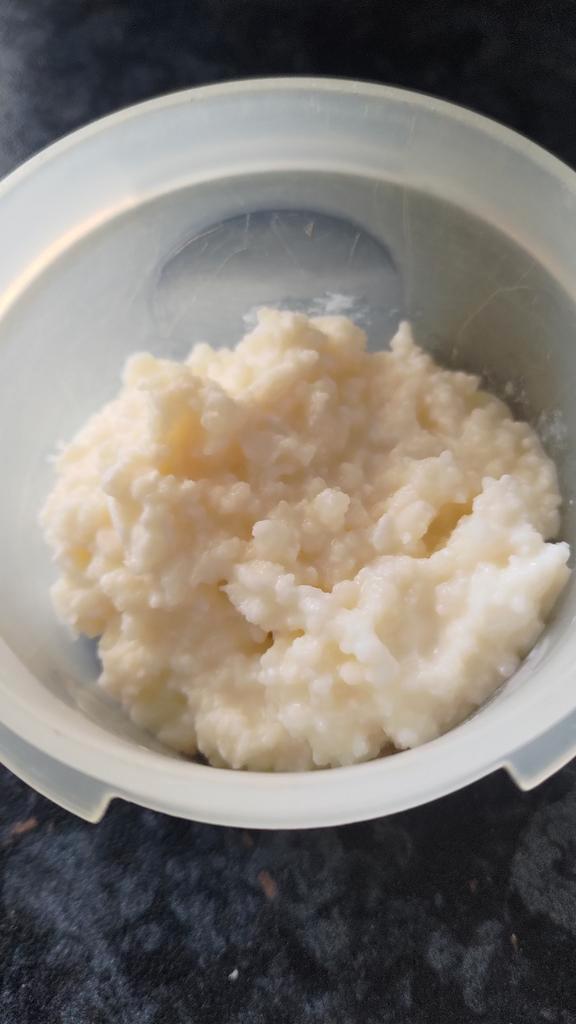 Melk kefir korrels, Diversen, Levensmiddelen, Ophalen