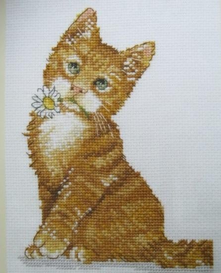 Borduurpatroon  Lief Poesje   nr 5989, Verzenden, Nieuw, Handborduren, Patroon