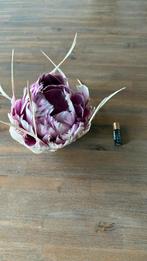 Broche echte veren, Sieraden, Tassen en Uiterlijk, Broches, Verzenden, Gebruikt, Overige materialen