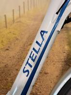 Stella Allegra Elektrische fiets met voorwiel motor Ebike!, Fietsen en Brommers, Elektrische fietsen, Overige merken, Ophalen of Verzenden