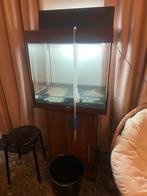 Aquarium Juwel 60x65x40 met kast en verlichting, Ophalen, Leeg aquarium