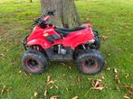 Nitro 110cc quad, Ophalen, Gebruikt, Overige typen, Nitro