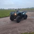 Qaud yamaha bruin 250, Motoren