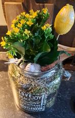 Landelijke glazen pot / vaas / stolp, Overige kleuren, Ophalen of Verzenden, Minder dan 50 cm, Glas