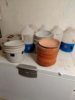 Te koop duiven spullen, Dieren en Toebehoren, Meerdere dieren, Postduif