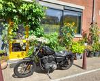 Harley-Davidson Sportster Iron 883 – 2015 – 15073 km – Stock, Motoren, 2 cilinders, Chopper, 883 cc, Particulier