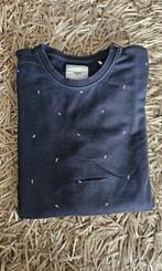 Diverse heren sweaters, Kleding | Heren, T-shirts, Ophalen of Verzenden, Gedragen, Overige kleuren