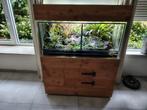 Zo goed als nieuwe terrarium/paludarium met bewoners !, Ophalen, Zo goed als nieuw, Terrarium of Paludarium