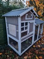 Konijnen verblijf met 2 dwerg voedsters., Dieren en Toebehoren, Konijnen