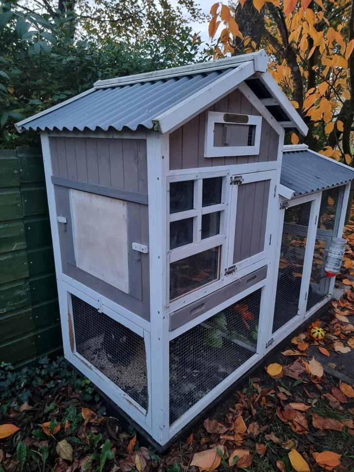 Konijnen verblijf met 2 dwerg voedsters., Dieren en Toebehoren, Konijnen
