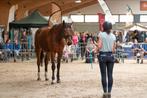 BBL-stageplek vrij!