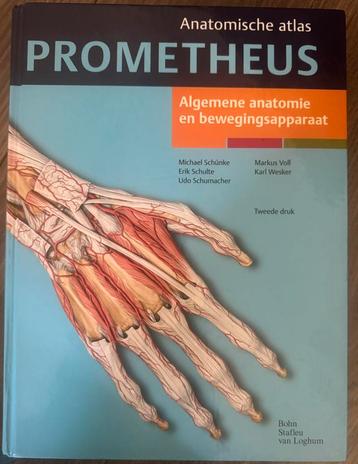 Prometheus Anatomische atlas boeken te koop 3 stuks beschikbaar voor biedingen