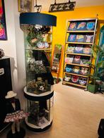 Vintage Glazen ronde Vitrinekast, Ophalen, Met plank(en), Minder dan 50 cm, Rond